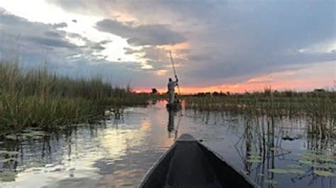 Okavango Delta Floods of 2020 - by Caren Banks - Rothschild Safaris