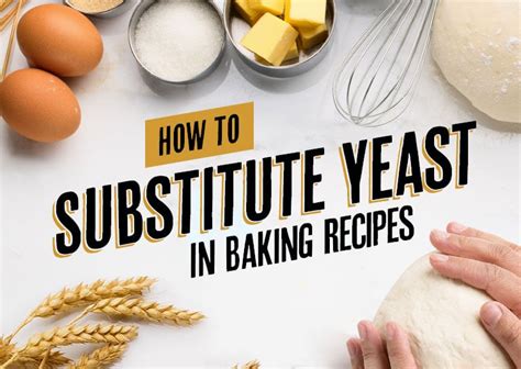 3 Yeast Substitutes & Alternatives for Use in Baking