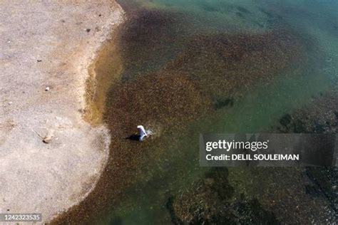 3,616 Euphrates River Stock Photos, High-Res Pictures, and Images - Getty Images