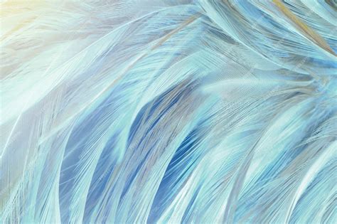 Blue Feather Wallpaper