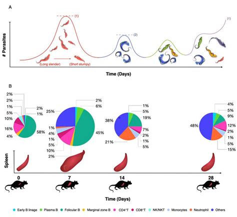 (A) Salivarian trypanosomes use antigenic variation of their surface... | Download Scientific ...