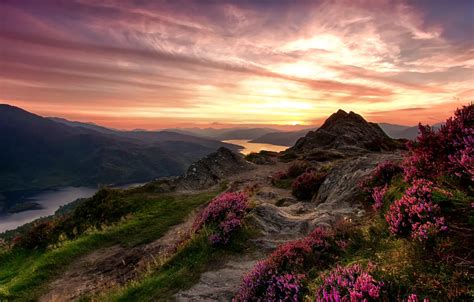 Wallpaper the sky, grass, flowers, mountains, river, stones, Scotland ...