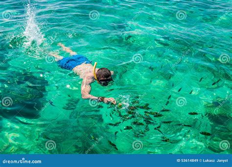 Man Snorkeling at Phi Phi Island, Phuket, Thailand Stock Image - Image of adventure, beautiful ...