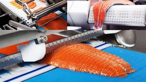 Amazing Automatic Fish Processing Line Machines Modern Technology ...