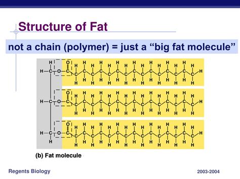 PPT - Lipids: Fats & Oils PowerPoint Presentation - ID:328562