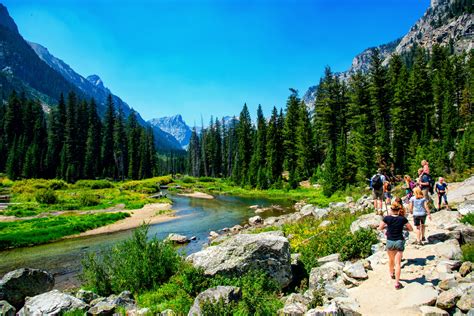 The Top 10 Grand Teton National Park Tours, Tickets & Activities 2024