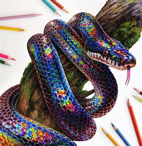 Super Colorful Animal Pencil Drawings in 2020 | Snake drawing, Pencil ...