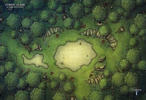 Forest Glade | Caeora Fantasy Map