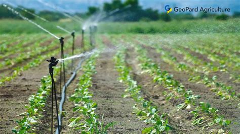 Role of Precision Irrigation Methods in Modern Farming - GeoPard ...