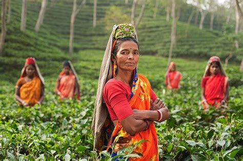 New Project in Carbon Farming Launched in India - Regeneration International