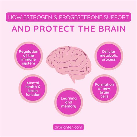 Connection Between Brain Health and Hormone Balance