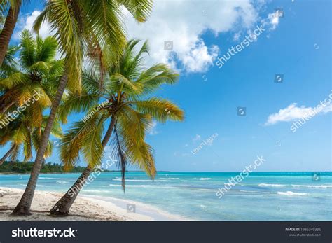 2,721 Hispaniola island Images, Stock Photos & Vectors | Shutterstock