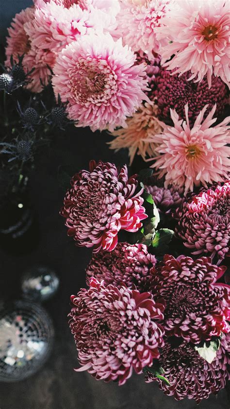 Pink and White Flowers in Tilt Shift Lens · Free Stock Photo