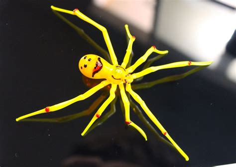 17 Captivating Facts About Smiley Face Spider - Facts.net