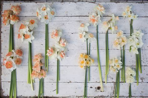 Daffodil flower arrangement | House & Garden