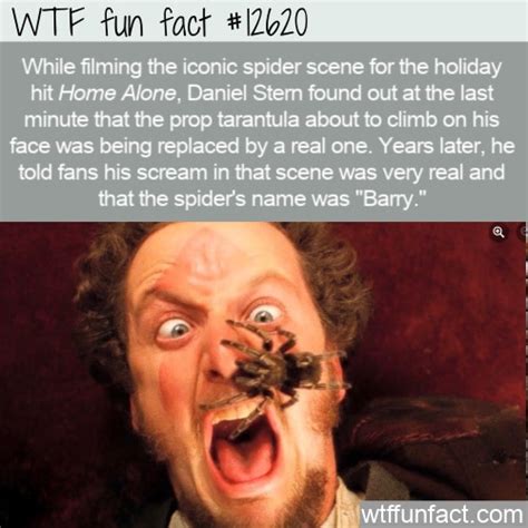 WTF Fun Fact 12620 - Home Alone's Spider Guest Star