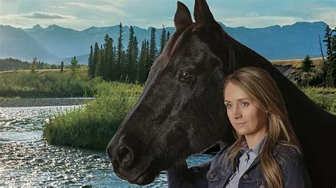 Heartland Amy And Spartan Wallpapers - Wallpaper Cave