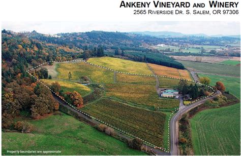 Ankeny Vineyard and Winery – Oregon Vineyard Property – Peter Bouman and Matt Tackett