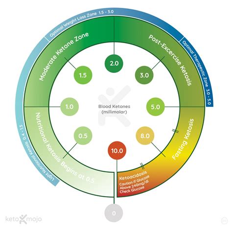 Keto-Mojo Ketone Zone Chart Anaerobic Exercise, Do Exercise, Low Carb ...