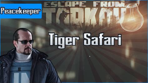 Tiger Safari - Peacekeeper Task - Escape from Tarkov Questing Guide EFT - YouTube