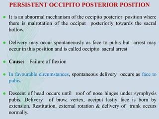 Occipito posterior position | PPT