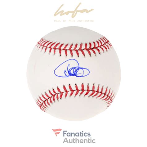 Willson Contreras Chicago Cubs Autographed Baseball | Hall of Fame ...