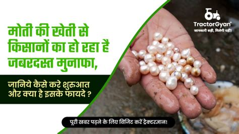 Pearl Farming in India: What is Pearl Farming? Process, Benefits & Investment (tg1103)