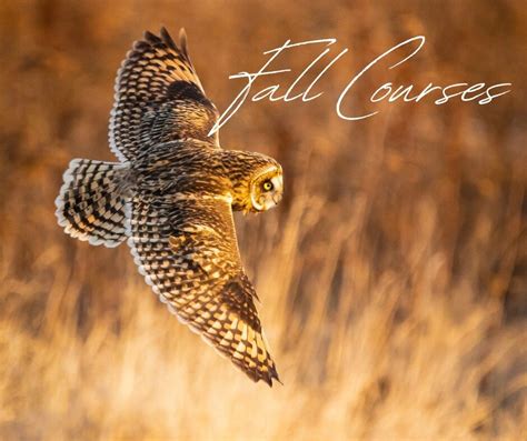 Wildlife Short Courses — Center for Wildlife Studies