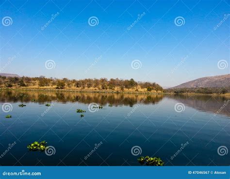 Loskop Nature Reserve stock image. Image of loskop, idyllic - 47046567