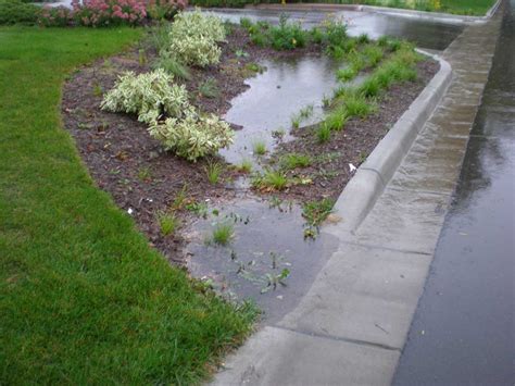 Building a rain garden | UMN Extension