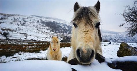 Animals Are Beautiful Photo Contest - ViewBug.com