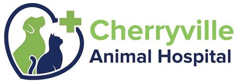 Cherryville Animal Hospital, Veterinarian in Walnutport, PA