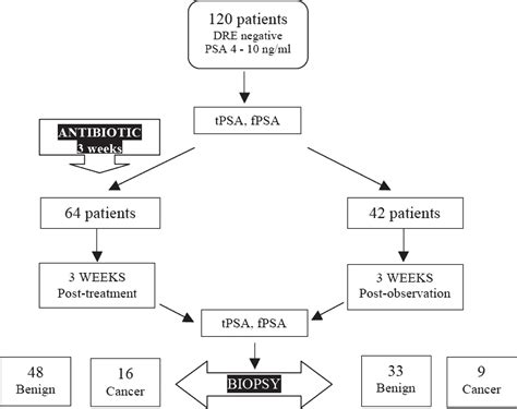 SciELO - Brasil - Does PSA reduction after antibiotic therapy permits ...