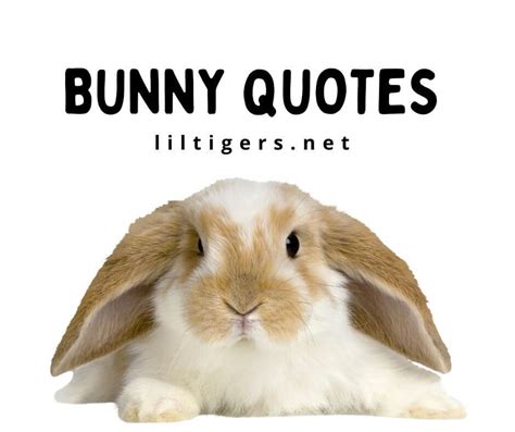 130 Best Bunny Quotes for Kids - Lil Tigers