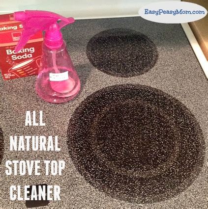 All Natural Stove Top Cleaner - EasyPeasyMom