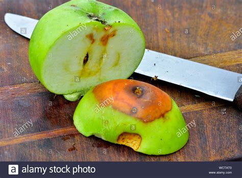 Bad apple hi-res stock photography and images - Alamy