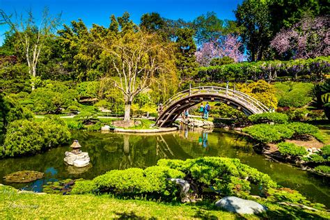 Huntington Library, Art Collections & Botanical Gardens | Los Angeles ...