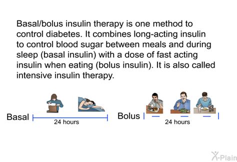 PatEdu.com : Basal/Bolus Insulin