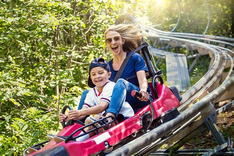 10 Cool Alpine Slides and Coasters for Summer | Destination Deals