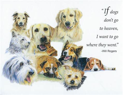 Veterinary Wisdom® | S73 Dog Sympathy Card