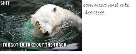 trashbear