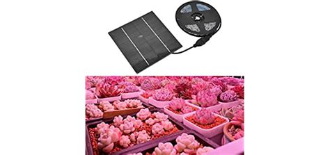 Solar Powered Grow Lights - Green Yard Magazine