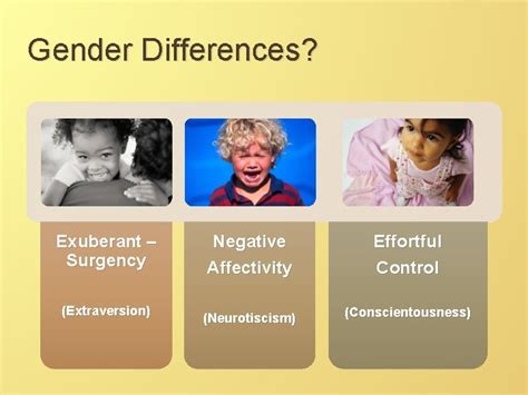 Temperament Personality Test Outline What 3 is temperament