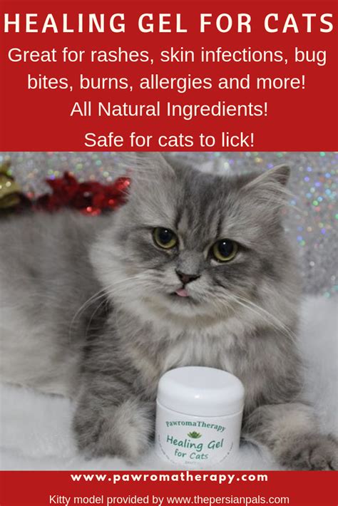 26+ Natural Antibiotics For Cat Wounds Photos | Pet Adoption Tucson