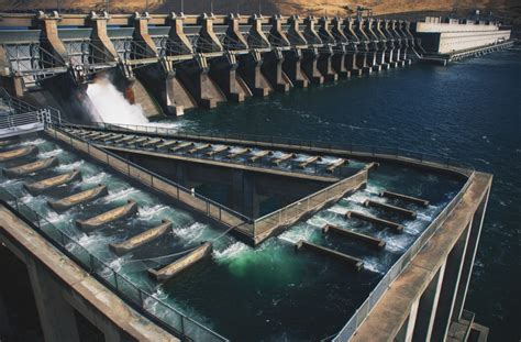 That sounds fishy: fish ladders at high-head dams impractical, largely ...