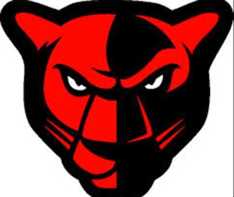 Petal panthers rock | Panther logo, Sports logo inspiration, Sports logo design