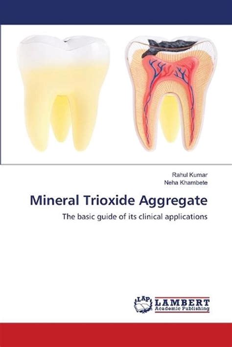 Mineral Trioxide Aggregate: The basic guide of its clinical applications by Rahu | eBay