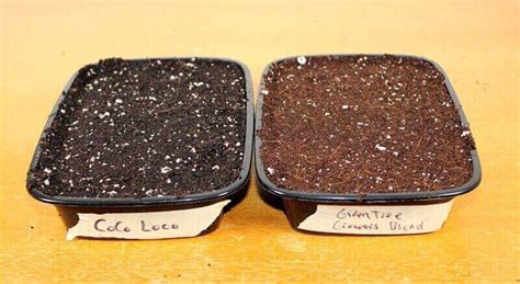 The Best Soil for Microgreens – Testing a Coir Mix and a Coir/Peat Mix - Home Microgreens