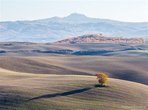 Crete Senesi, Italy