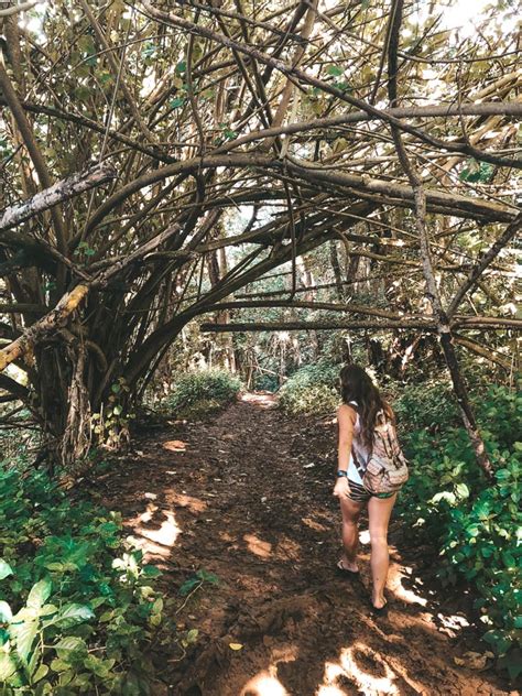 Ho'opi'i Falls Hike & Cliff Jump On Kauai, Hawaii